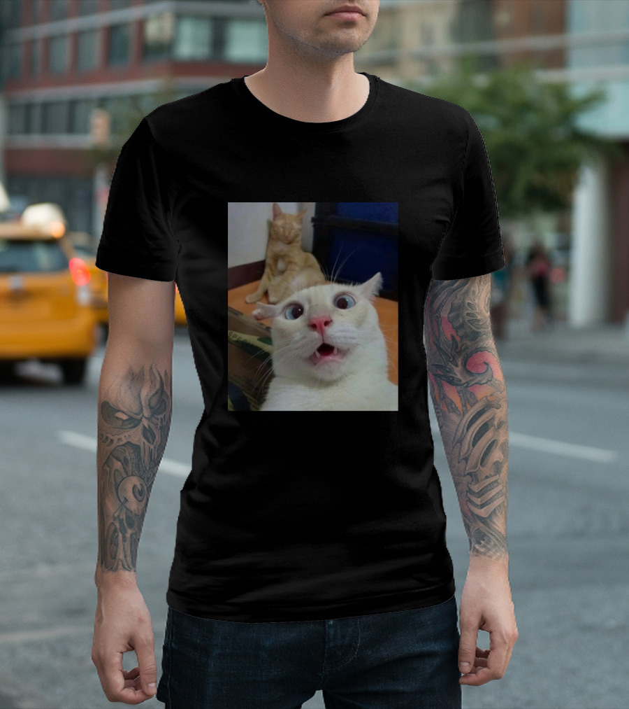 Funny Cats Hilarious Expressions and Playful Moments T-Shirt