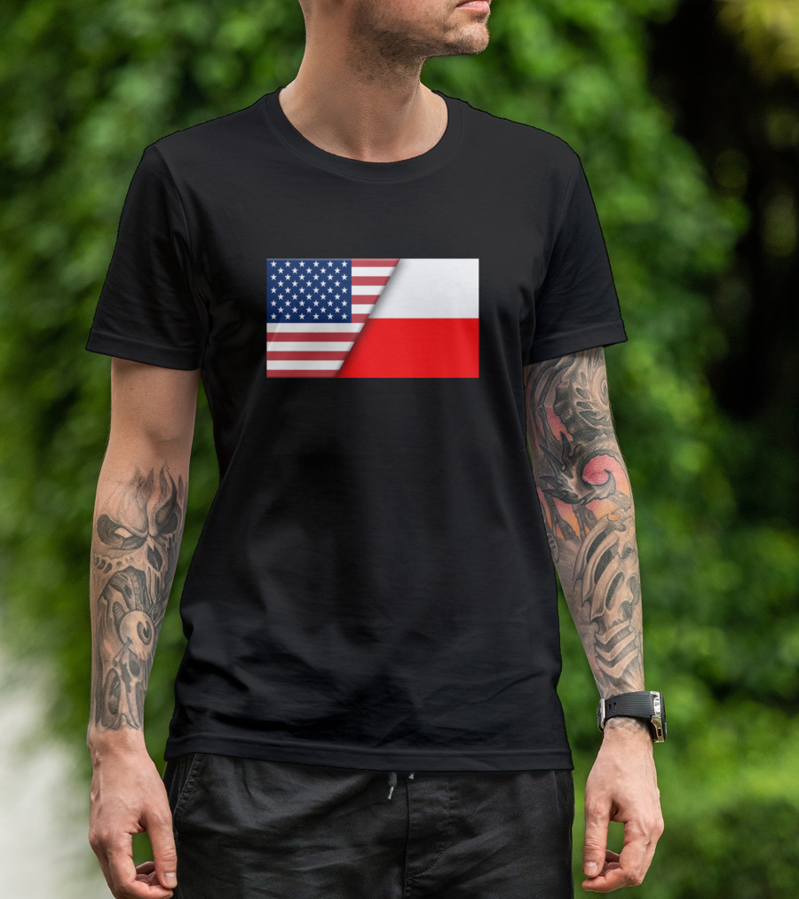 Usa Flag Poland Polish Flag Immigrant Ancestry Hom Heritage Connection T-Shirt