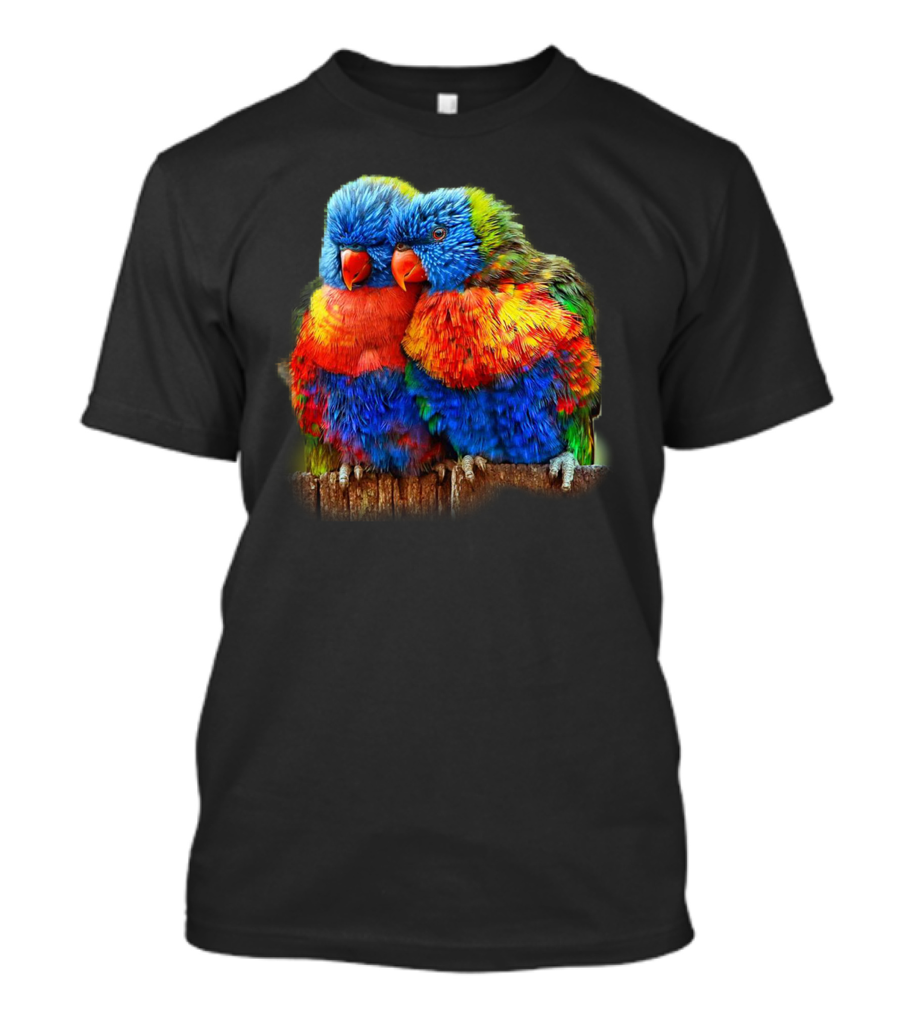 Colorful Rainbow Lori Birds Cuddling Together T-Shirt