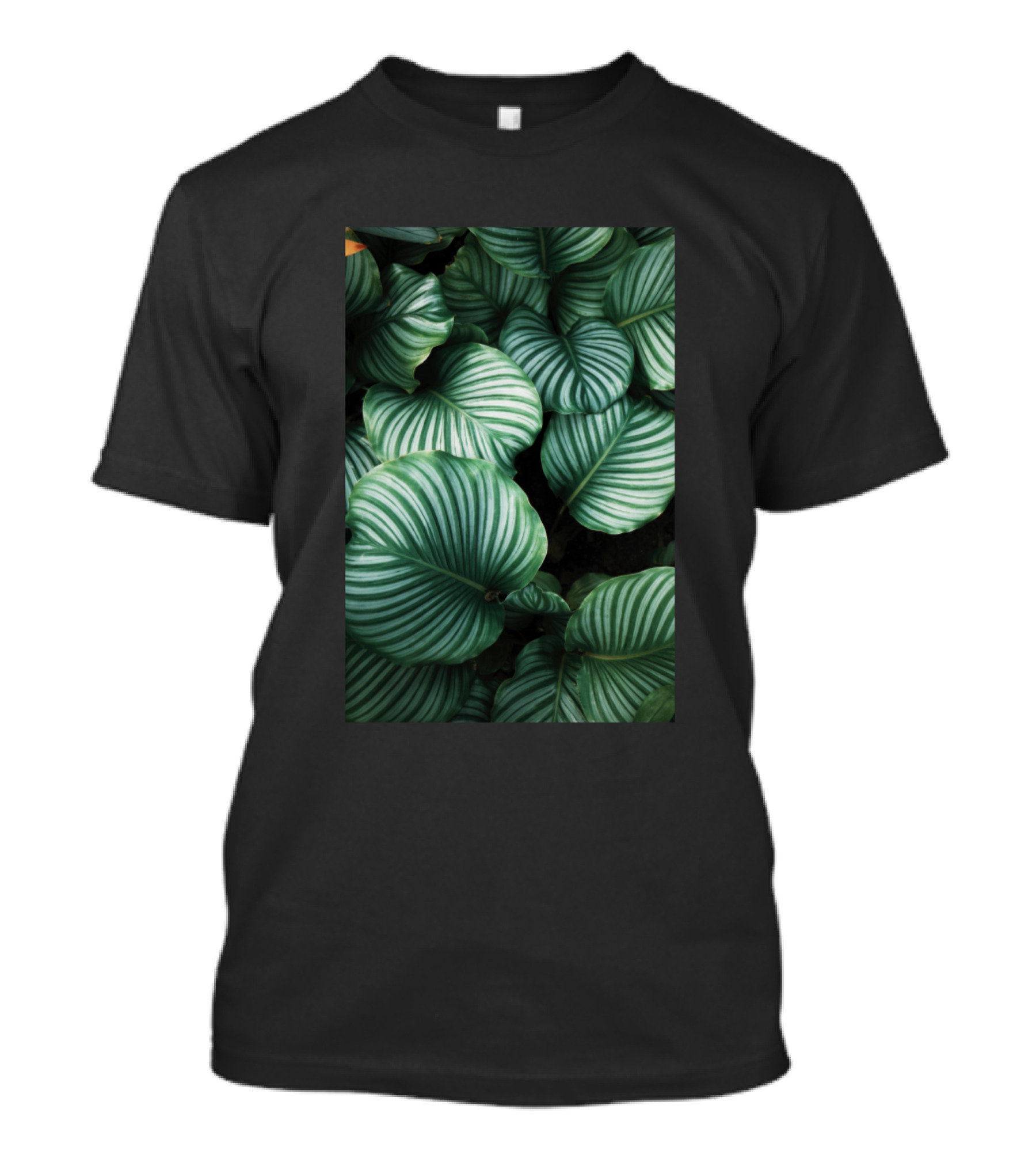 Tropical Leaves Green Striped Foliage T-Shirt