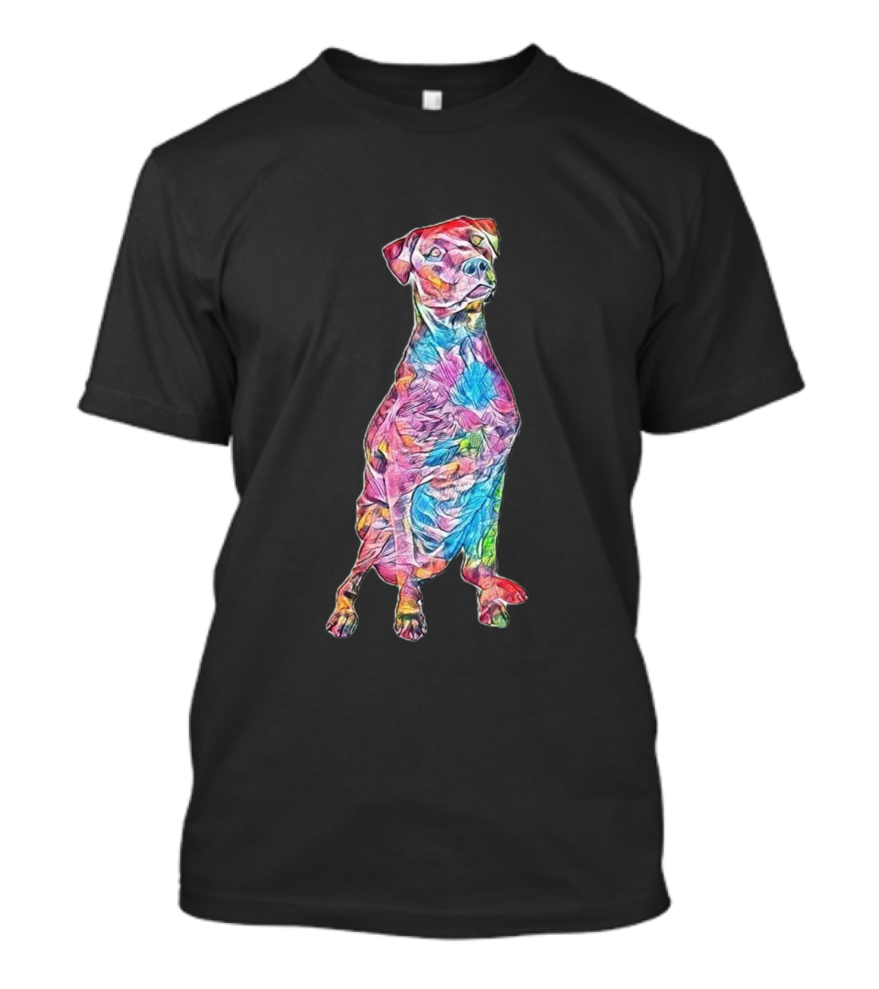 Beautiful Colorful Labrador T-Shirt