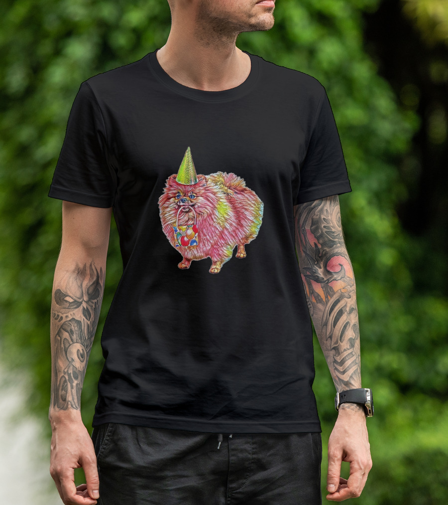 A Cute Little Fluffy Pomerani Party Hat And Gift Bag T-Shirt