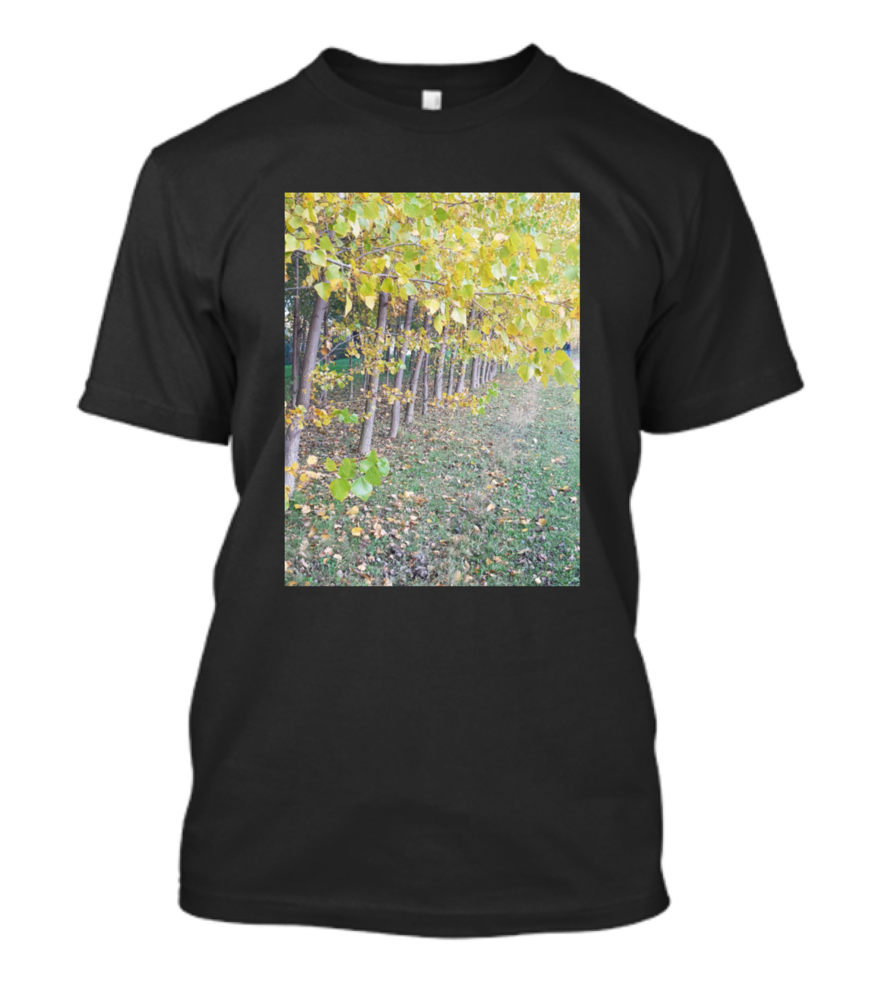 Autumn Walk In Vibrant Yellow Leafy Tree Pathway T-Shirt