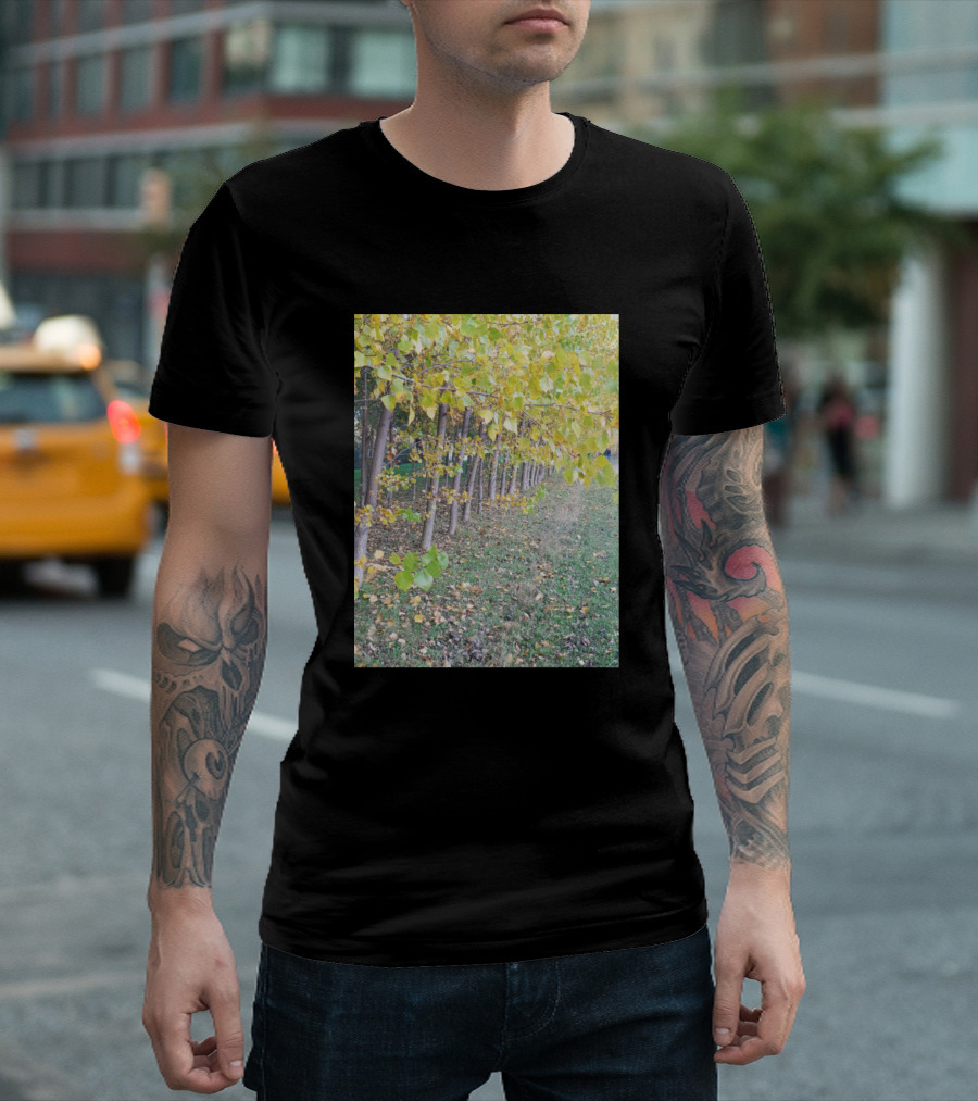Autumn Walk In Vibrant Yellow Leafy Tree Pathway T-Shirt