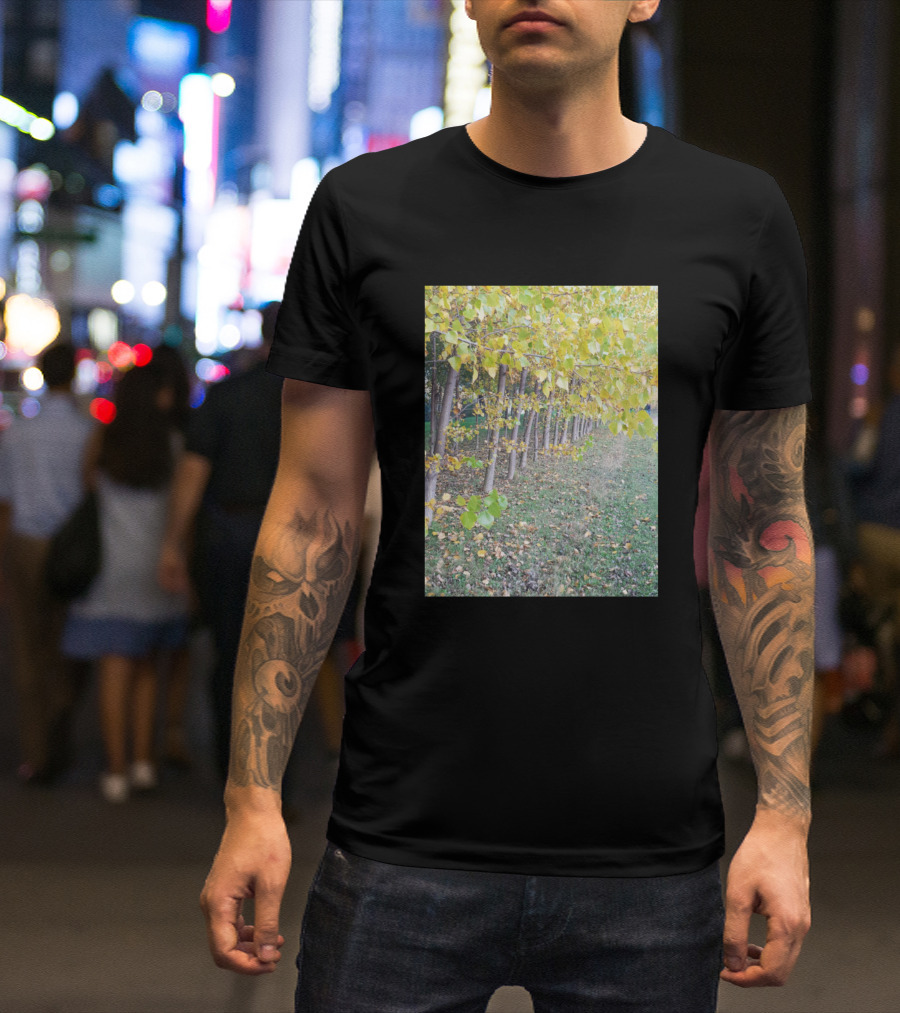 Autumn Walk In Vibrant Yellow Leafy Tree Pathway T-Shirt
