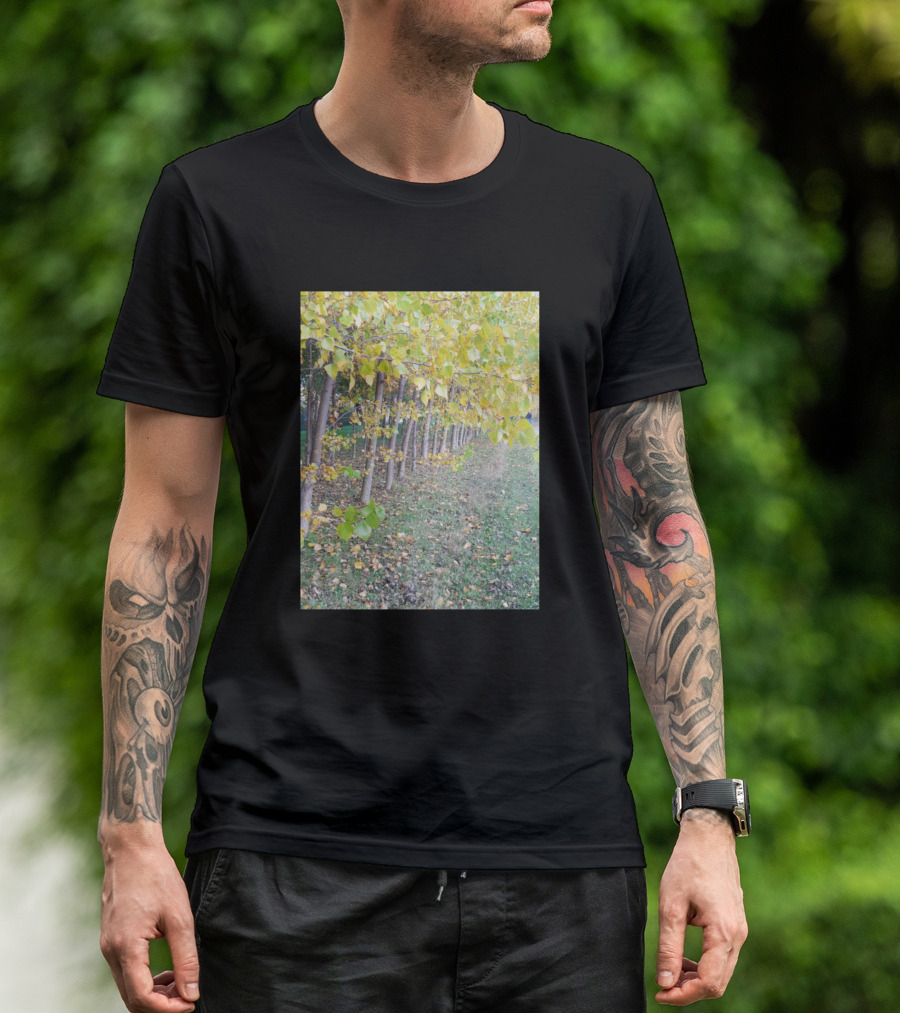 Autumn Walk In Vibrant Yellow Leafy Tree Pathway T-Shirt