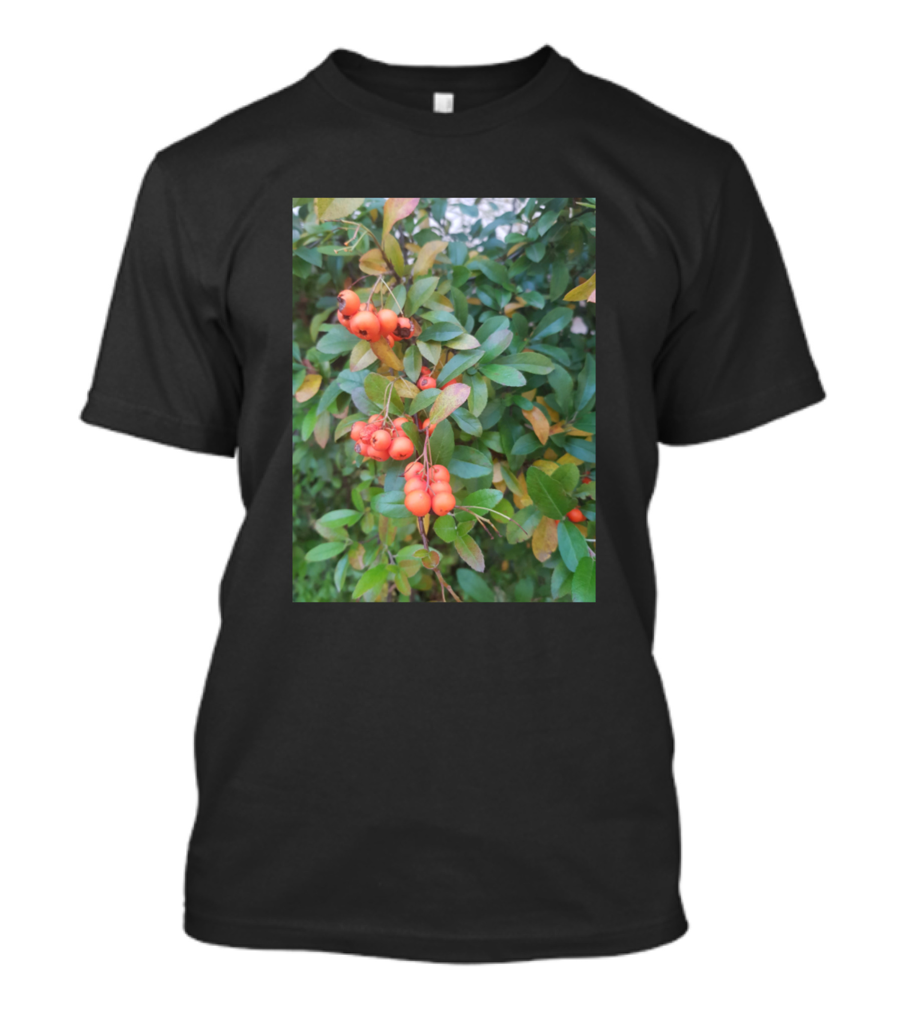 Red Berries On Lush Green Foliage T-Shirt