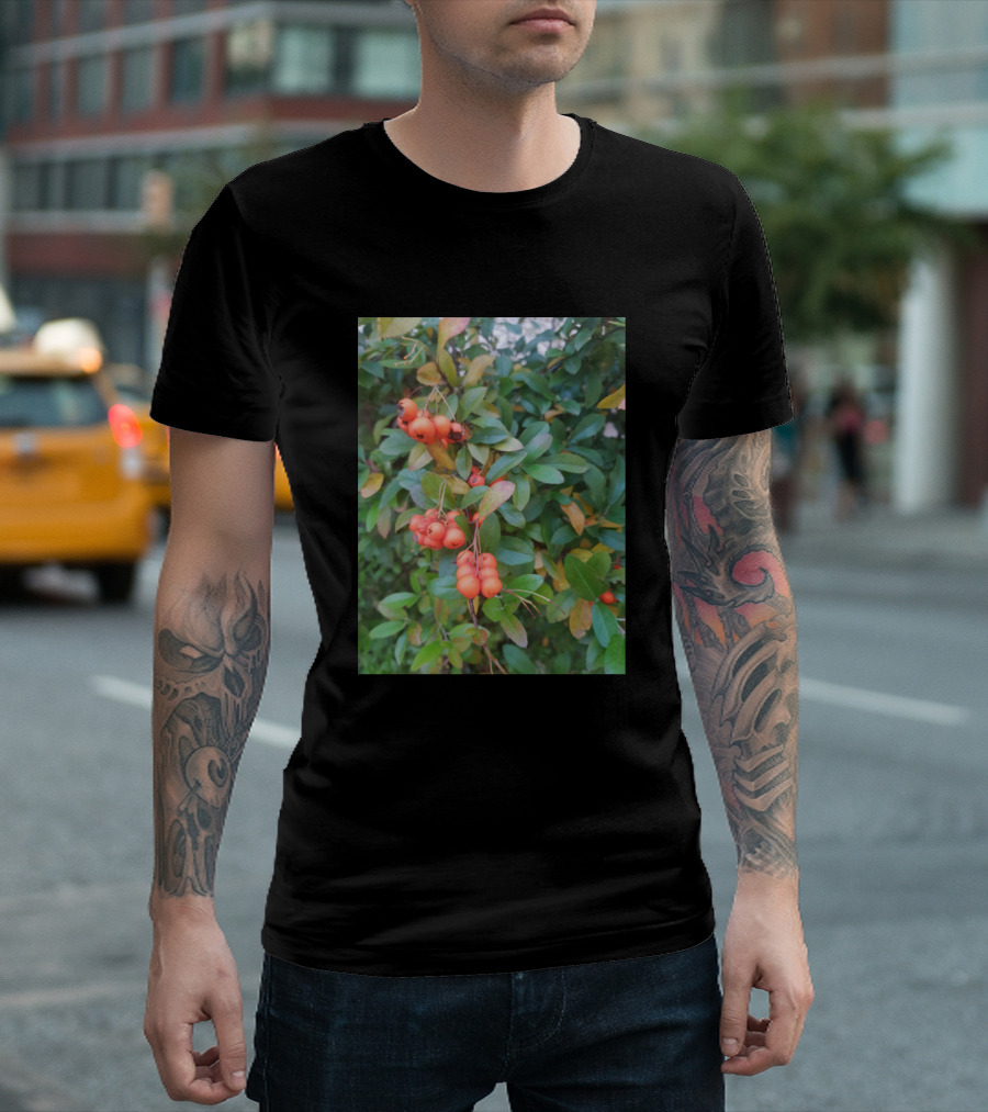 Red Berries On Lush Green Foliage T-Shirt
