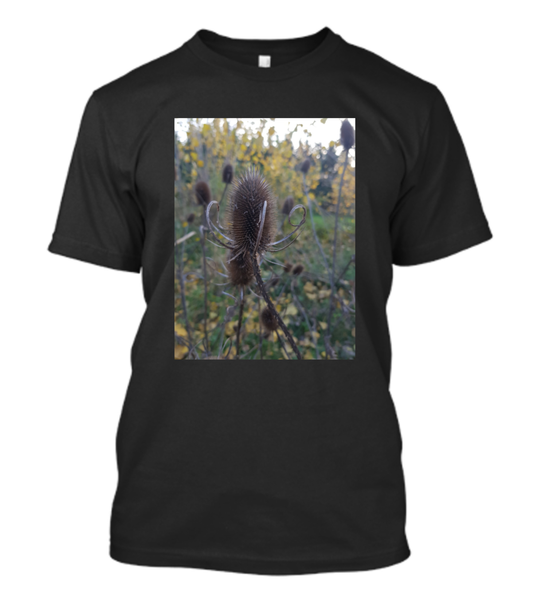 Thistle Nature Photography Autumn Scene T-Shirt