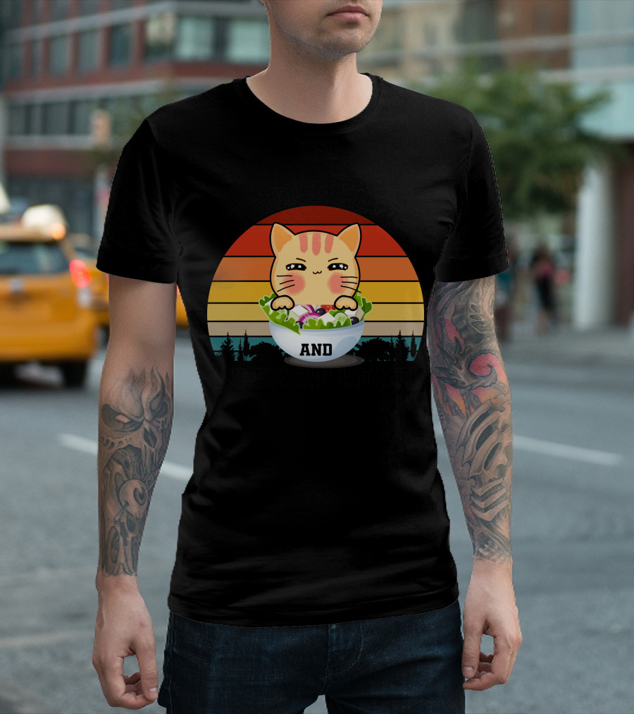 Keep Meow And Stay At Home Cat in Salad Retro Sunset T-Shirt