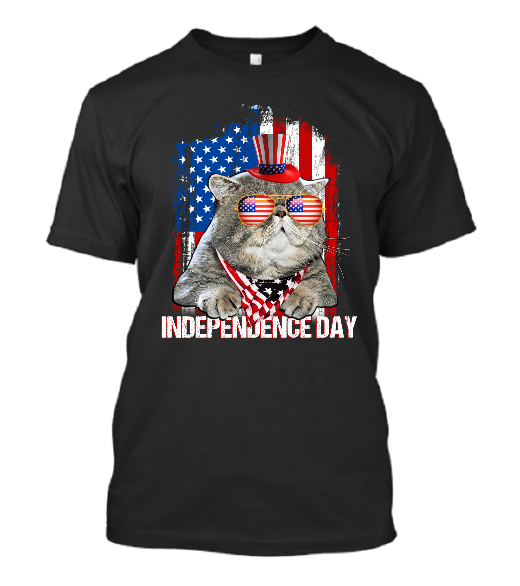 Independence Day Cat Patriotic American Flag Sunglasses Hat T-Shirt