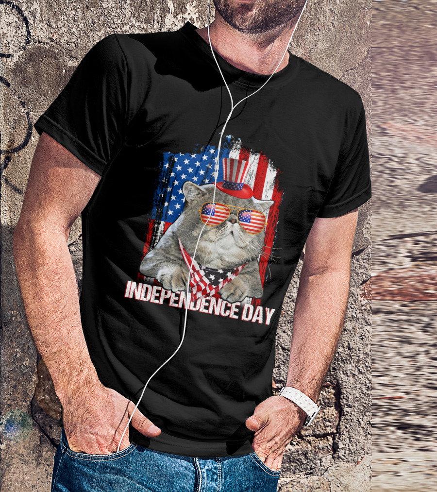Independence Day Cat Patriotic American Flag Sunglasses Hat T-Shirt