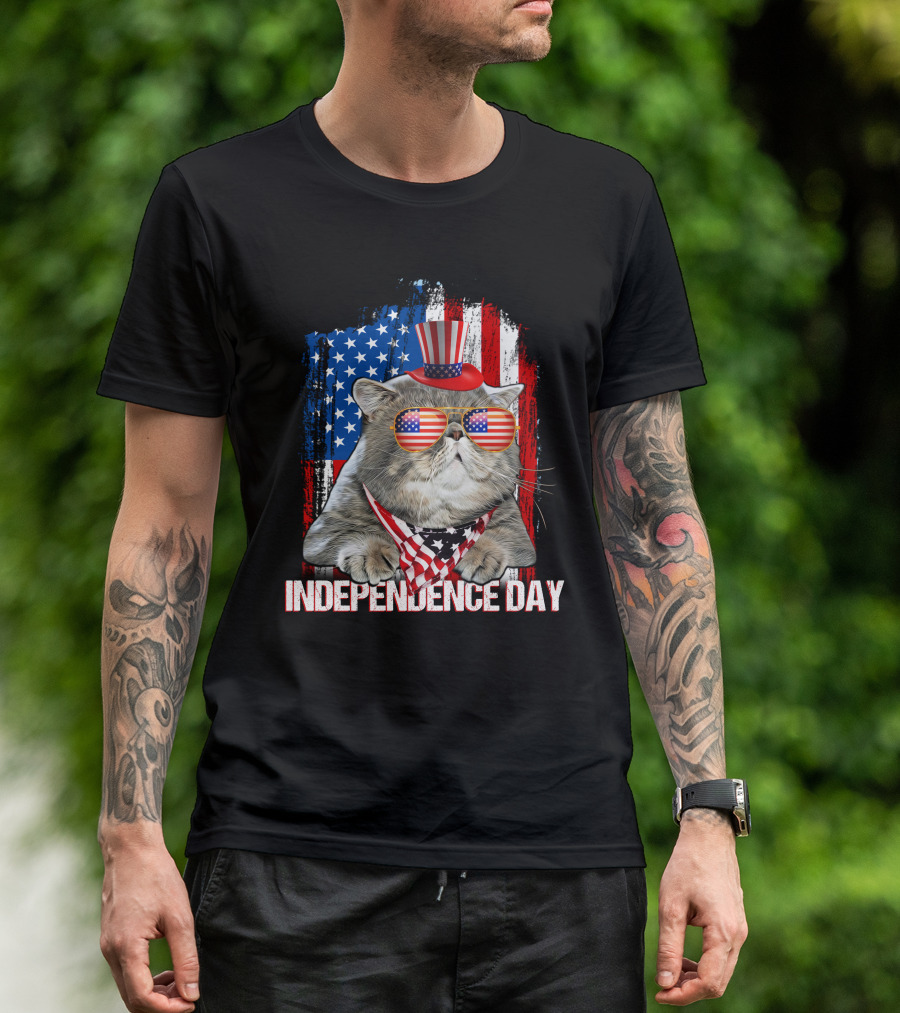 Independence Day Cat Patriotic American Flag Sunglasses Hat T-Shirt