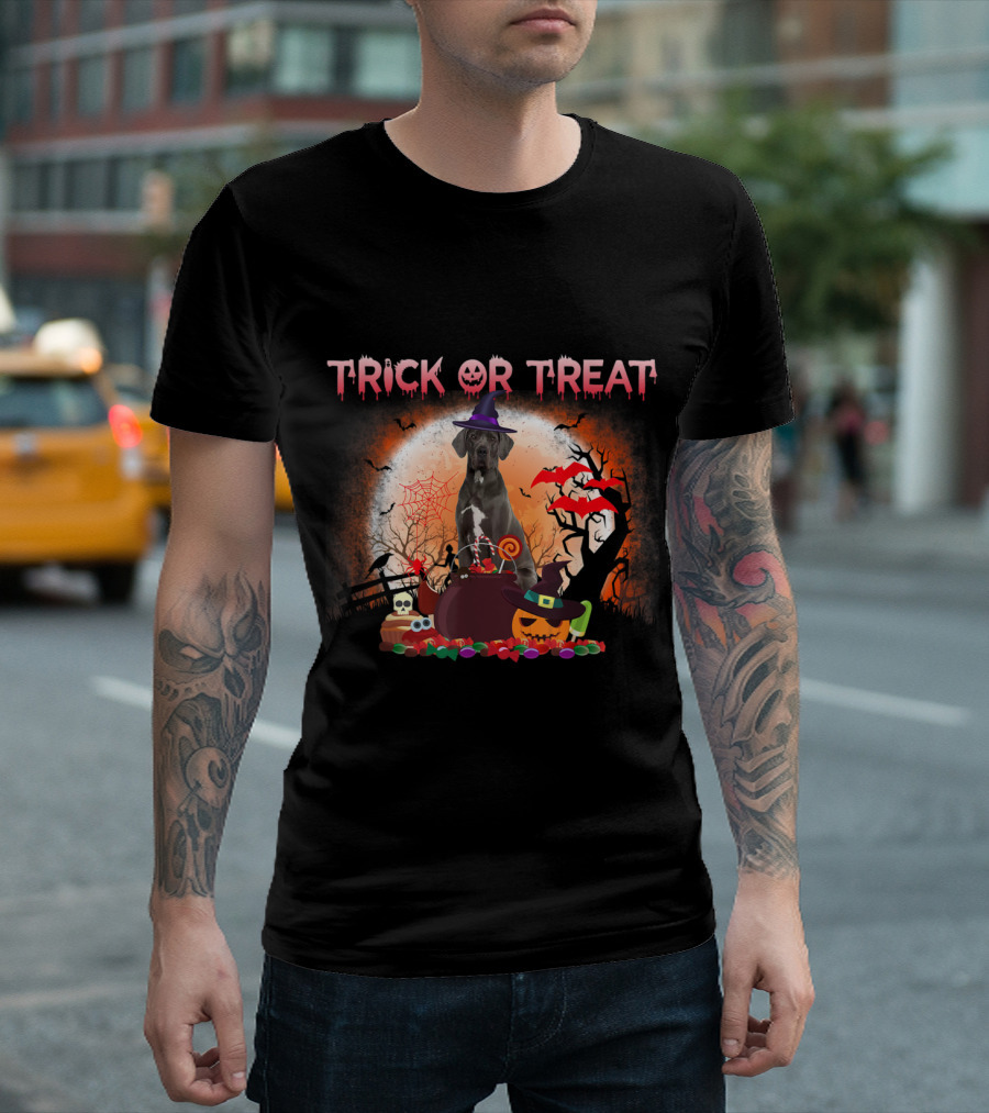 Trick or Treat Great Dane Halloween Pumpkin Witch Hat Moon Bats T-Shirt