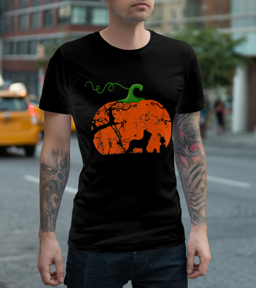 Briard Halloween Pumpkin T-Shirt