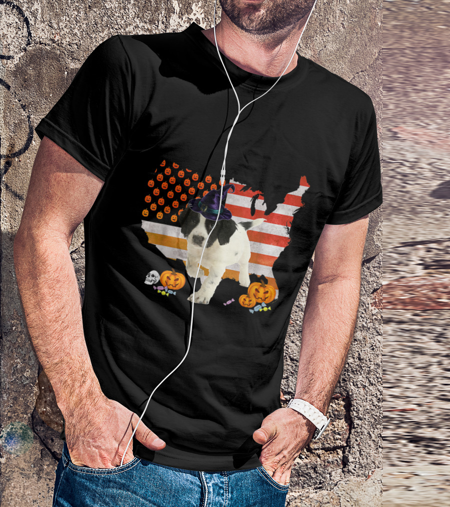 Sprollie Dog In Witch Hat Halloween USA Flag With Pumpkins And Candy T-Shirt