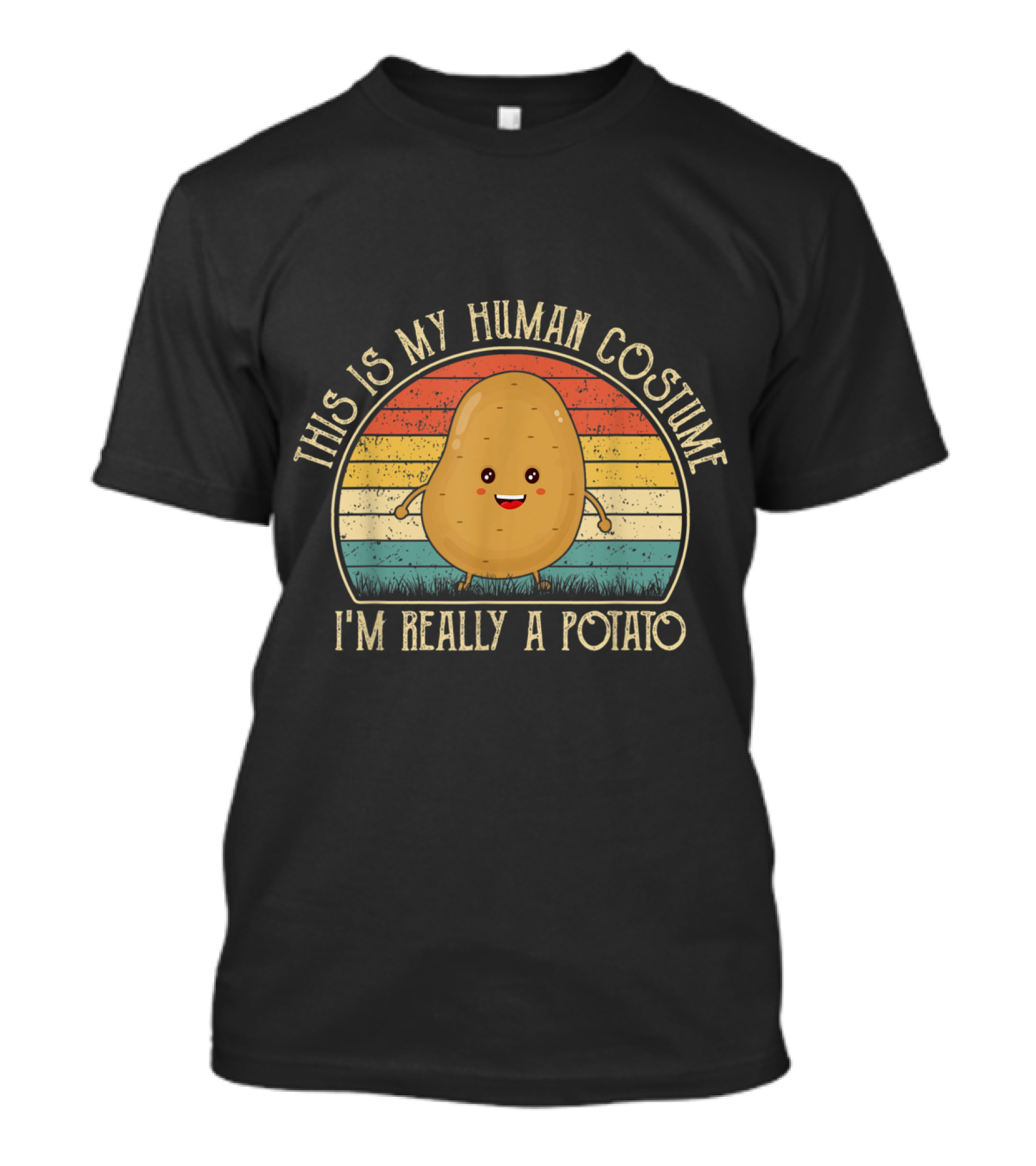 This Is My Human Costume I'm Really A Potato Retro Rainbow T-Shirt