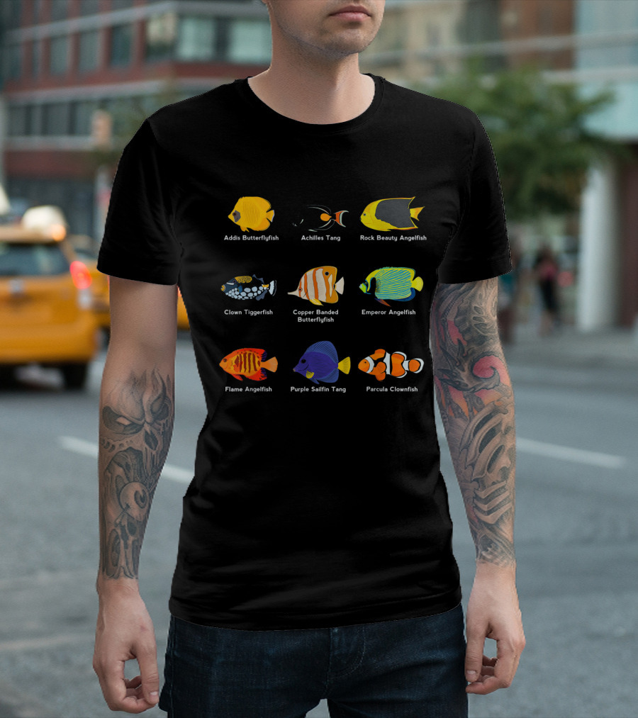Addis Butterflyfish Achilles Tang Rock Beauty Angelfish Clown Triggerfish Copper Banded Butterflyfish Emperor Angelfish Flame Angelfish Purple Sailfin