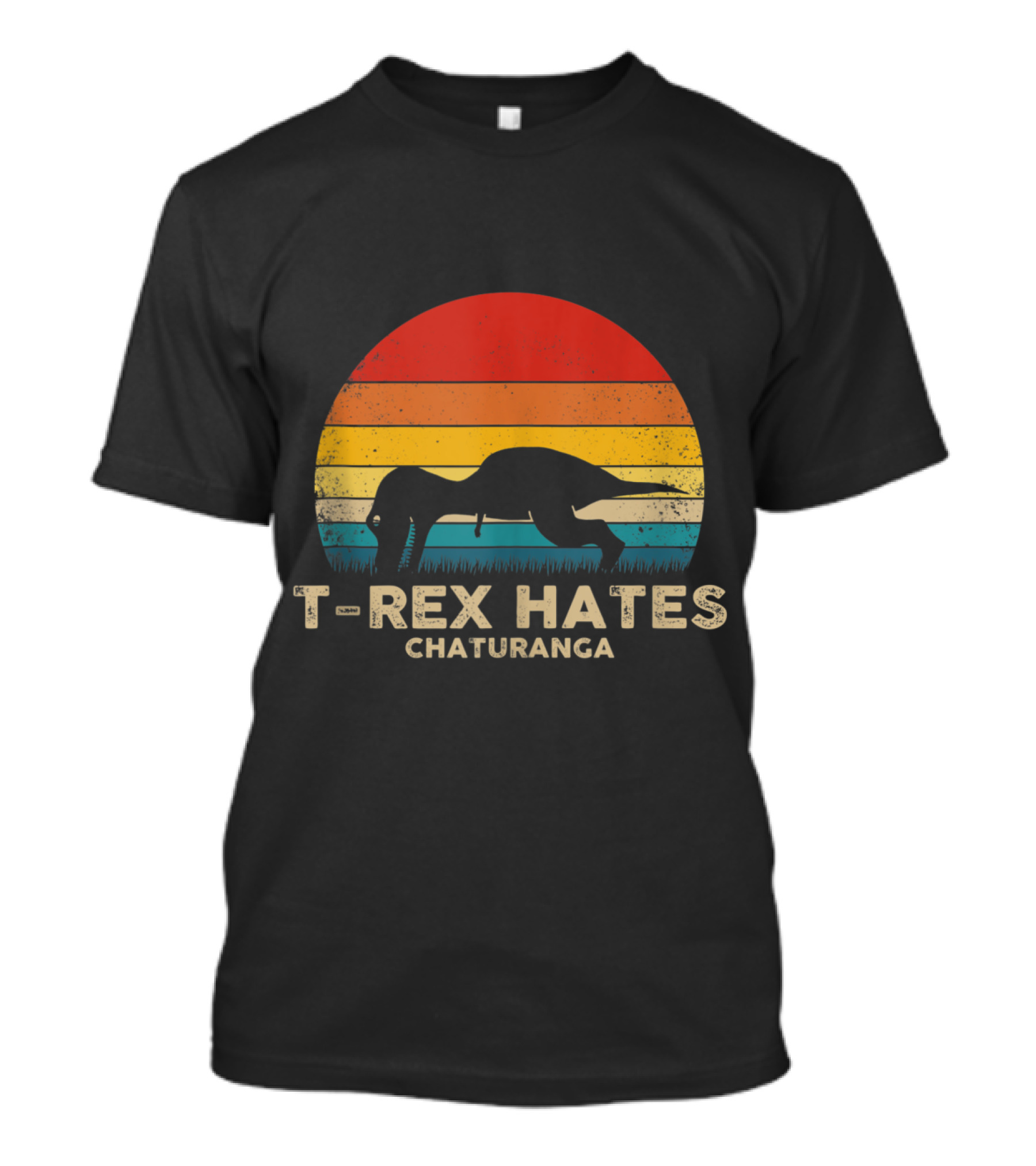 T-Rex Hates Chaturanga Vintage Yoga Humor T-Shirt