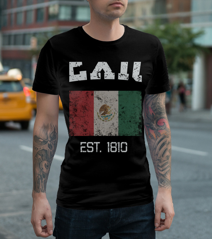 Vintage Mexico City Flag Est. 1810 Mexico T-Shirt