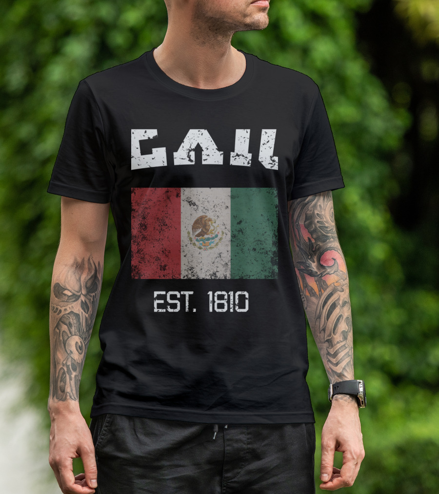 Vintage Mexico City Flag Est. 1810 Mexico T-Shirt