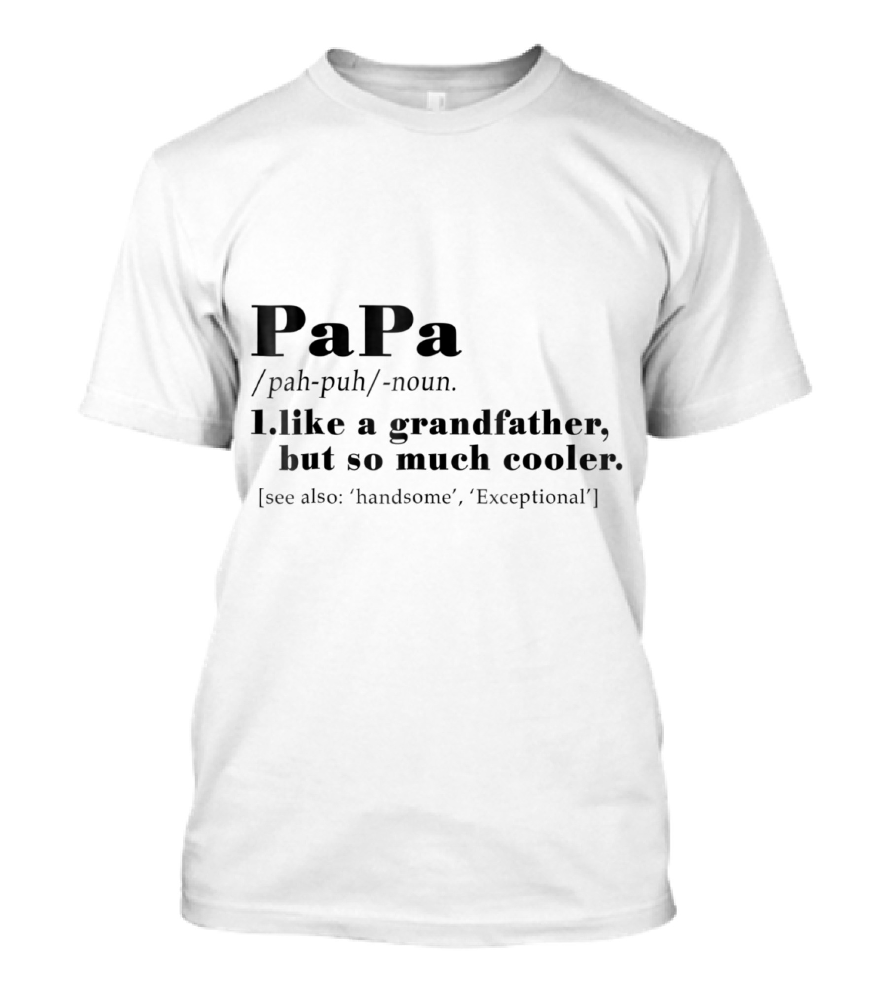 PaPa Noun Like A Grandfather But So Much Cooler Handsome Exceptional T-Shirt