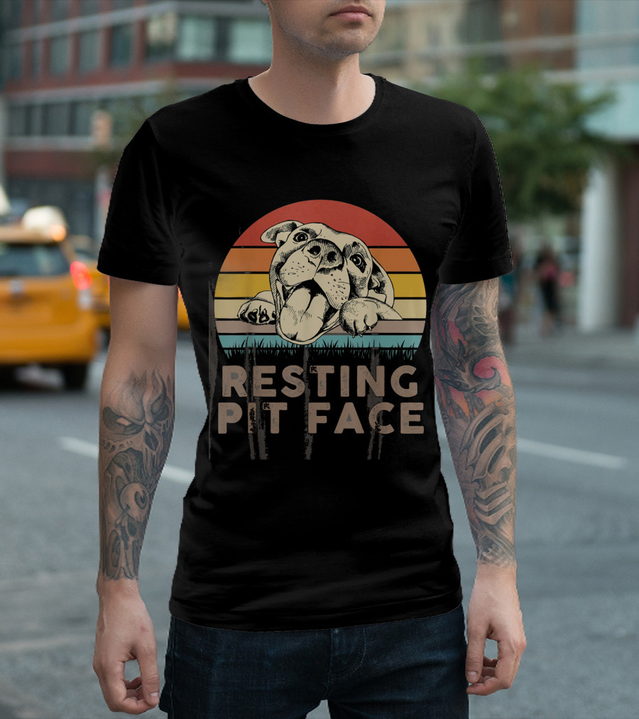 Retro Vintage Resting Pit Face Funny Pitbull Lover Sunrise Stripe T-Shirt