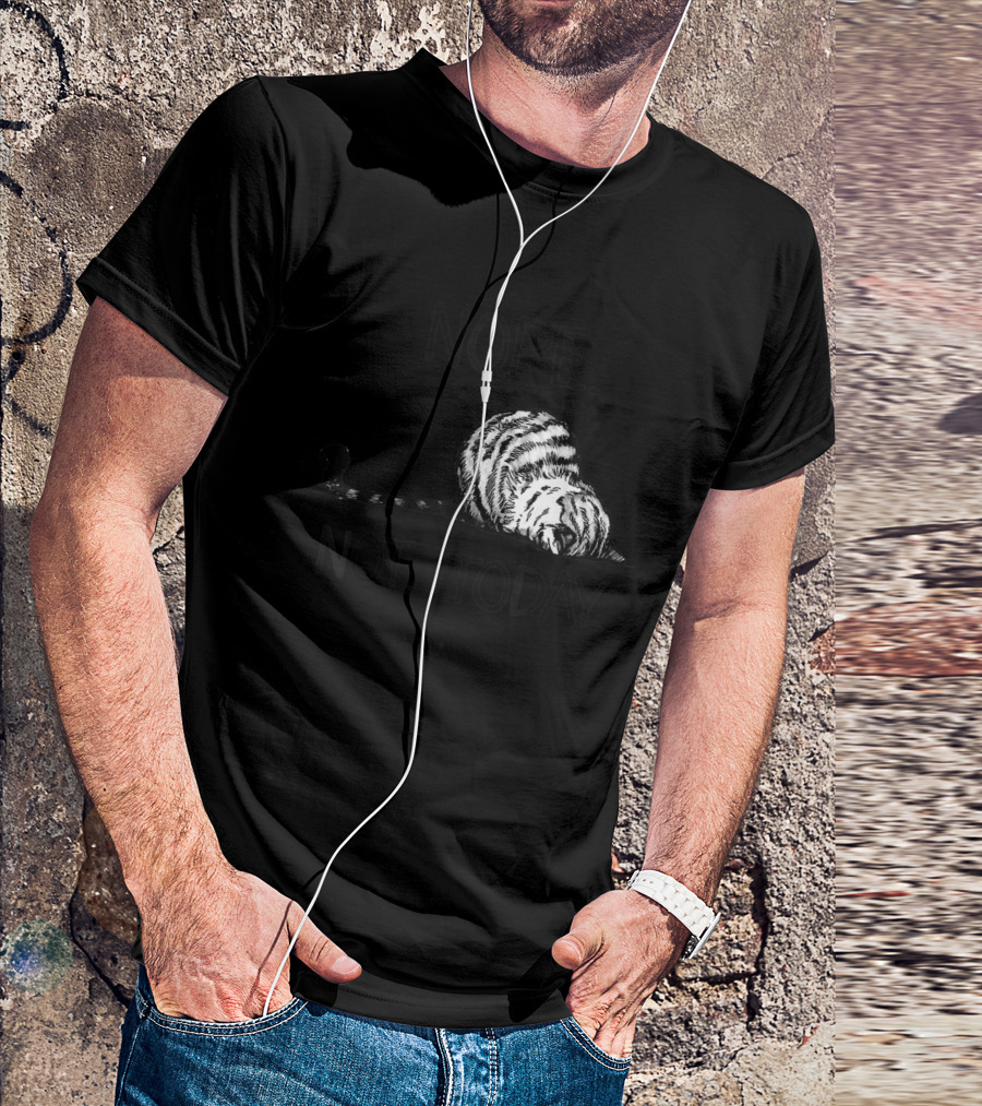 Nope Not Today Funny Lazy Cat Kitten Lover T-Shirt