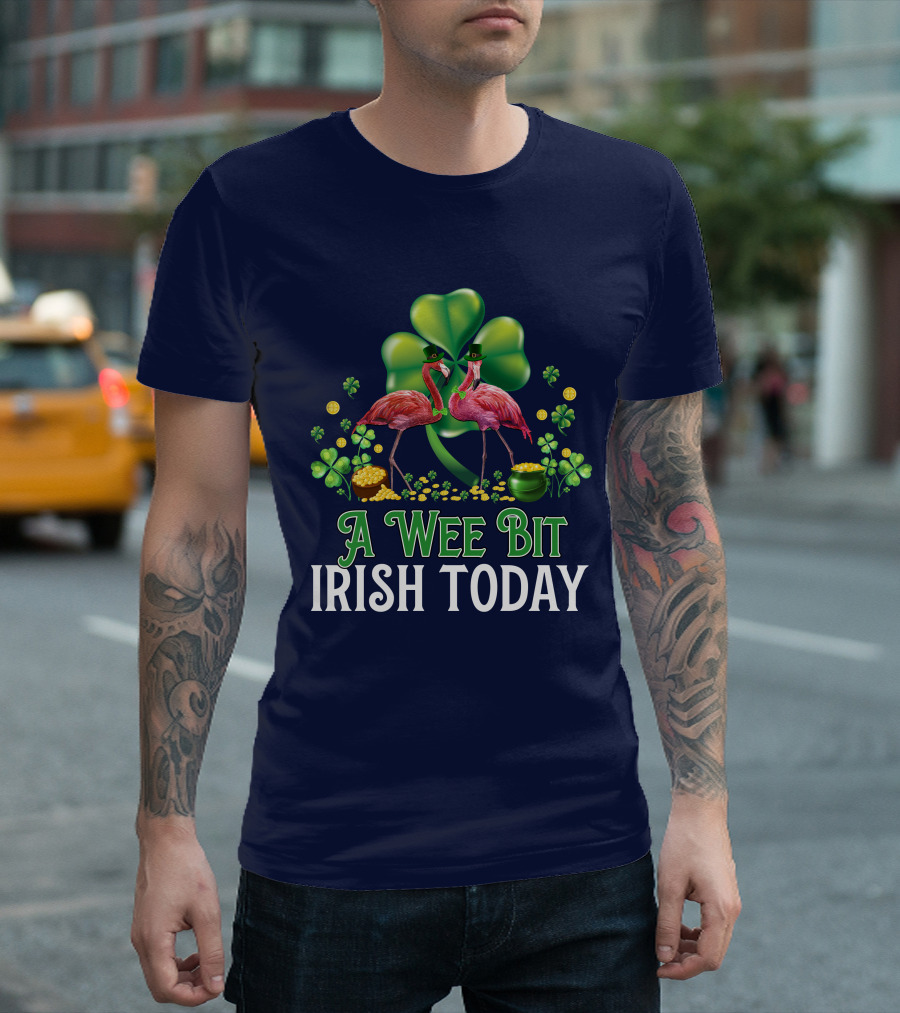A Wee Bit Irish Today Flamingo Clover Coins Hat T-Shirt