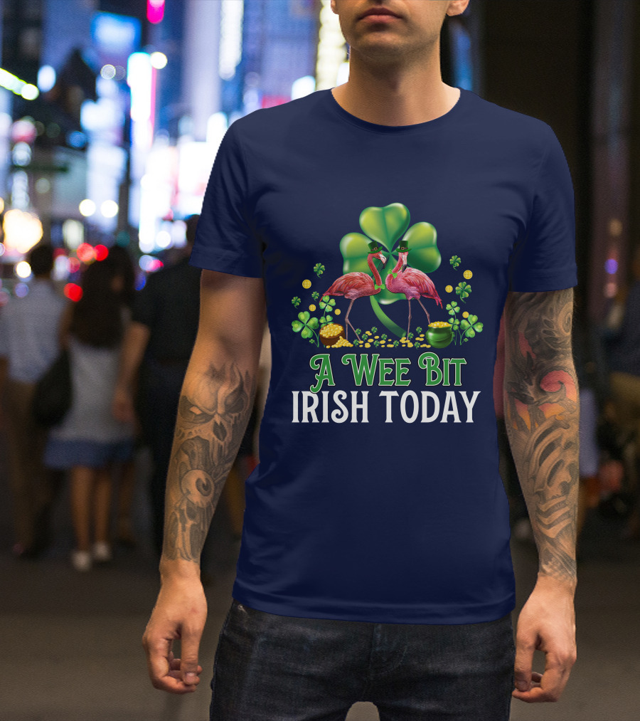 A Wee Bit Irish Today Flamingo Clover Coins Hat T-Shirt