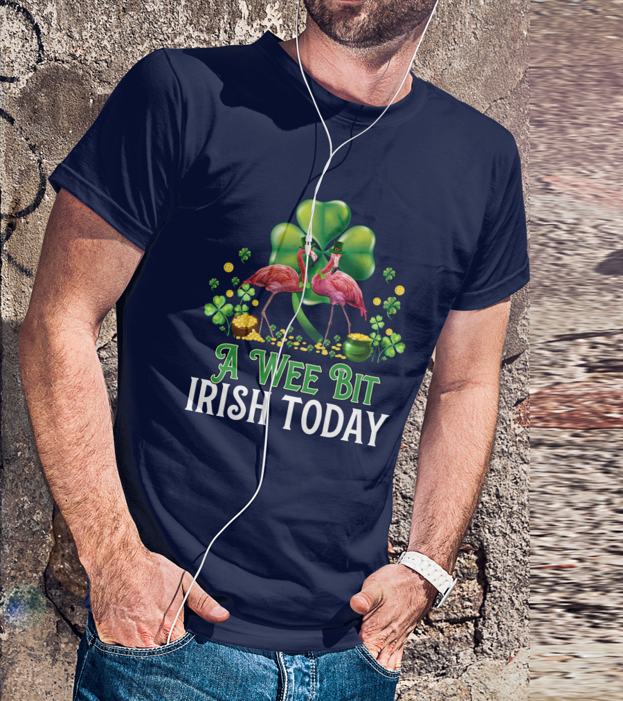 A Wee Bit Irish Today Flamingo Clover Coins Hat T-Shirt