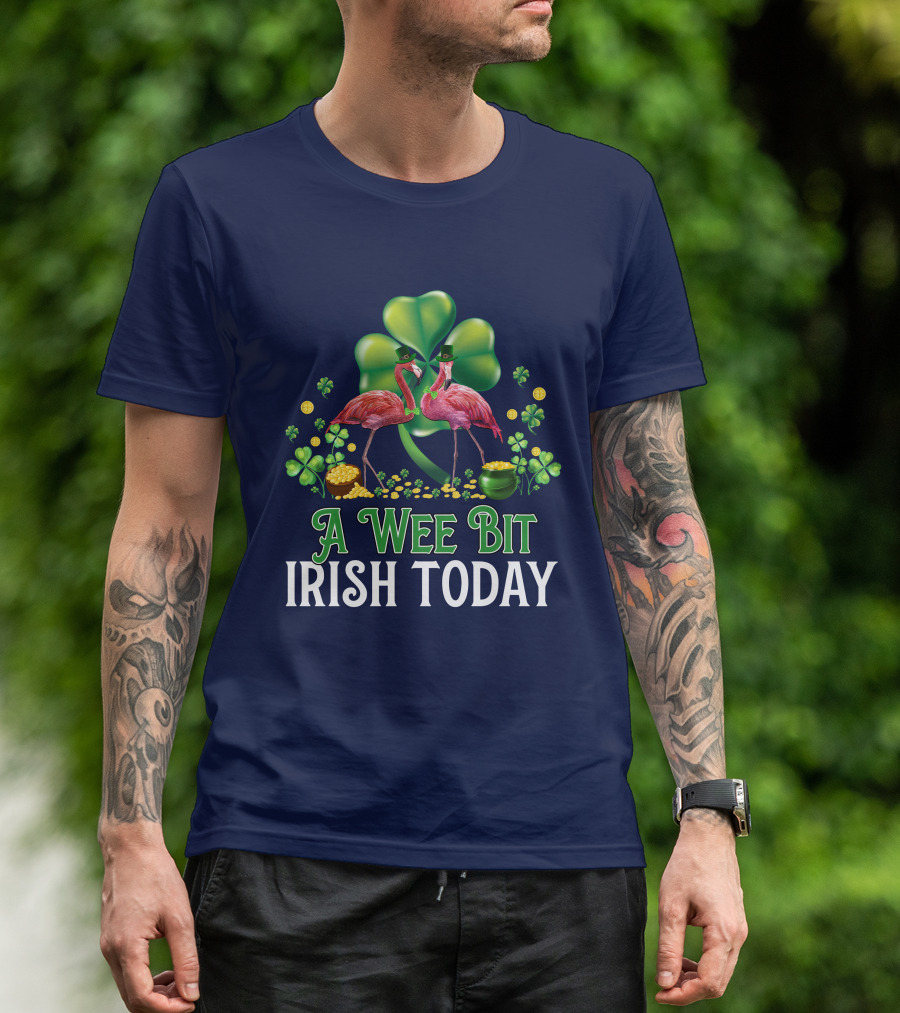 A Wee Bit Irish Today Flamingo Clover Coins Hat T-Shirt
