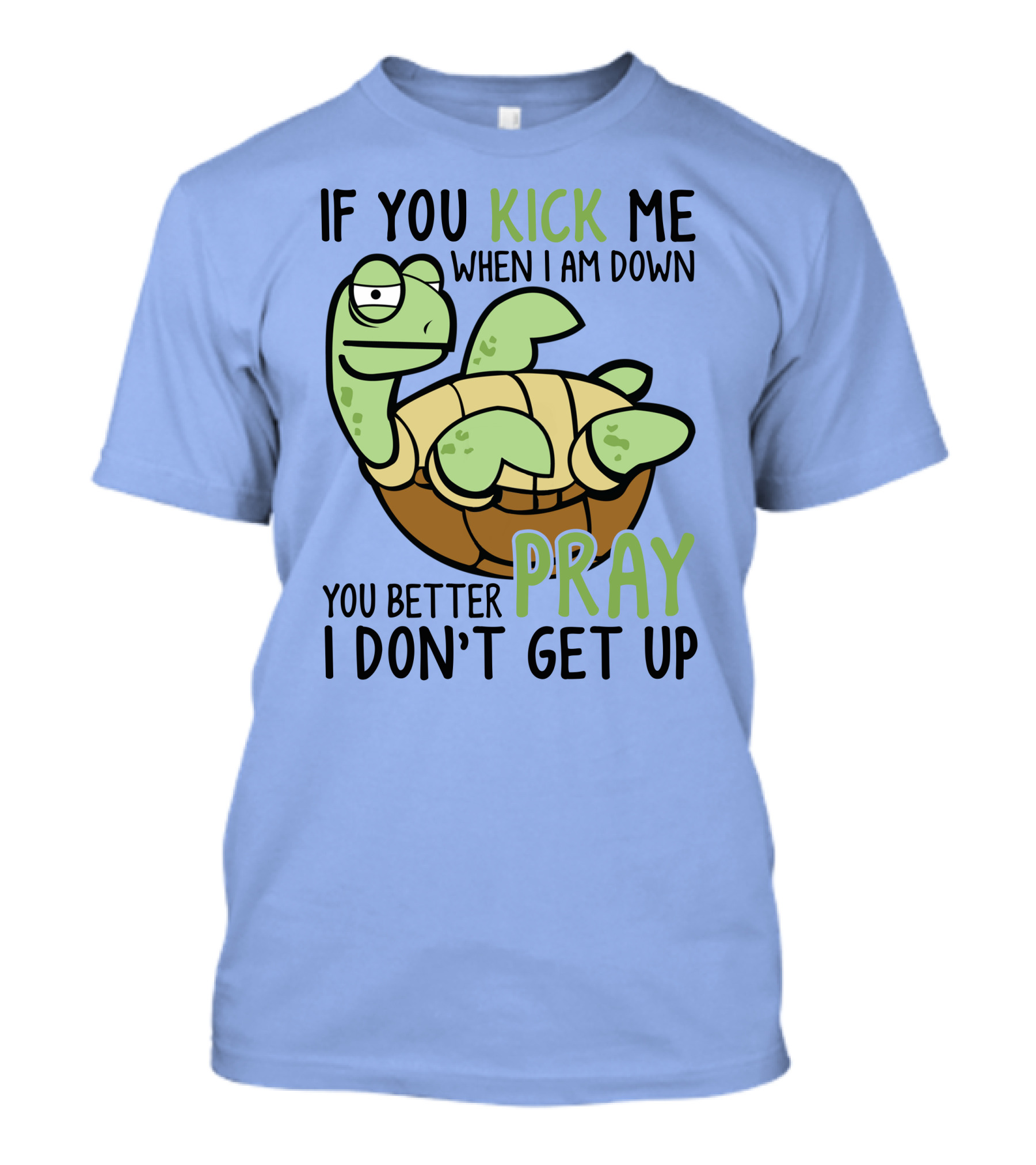 RD Turtle If You Kick Me When I Am Down You Better Pray I Don’t Get Up T-Shirt