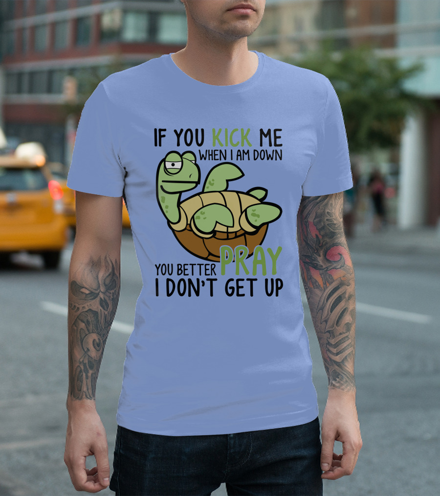RD Turtle If You Kick Me When I Am Down You Better Pray I Don’t Get Up T-Shirt