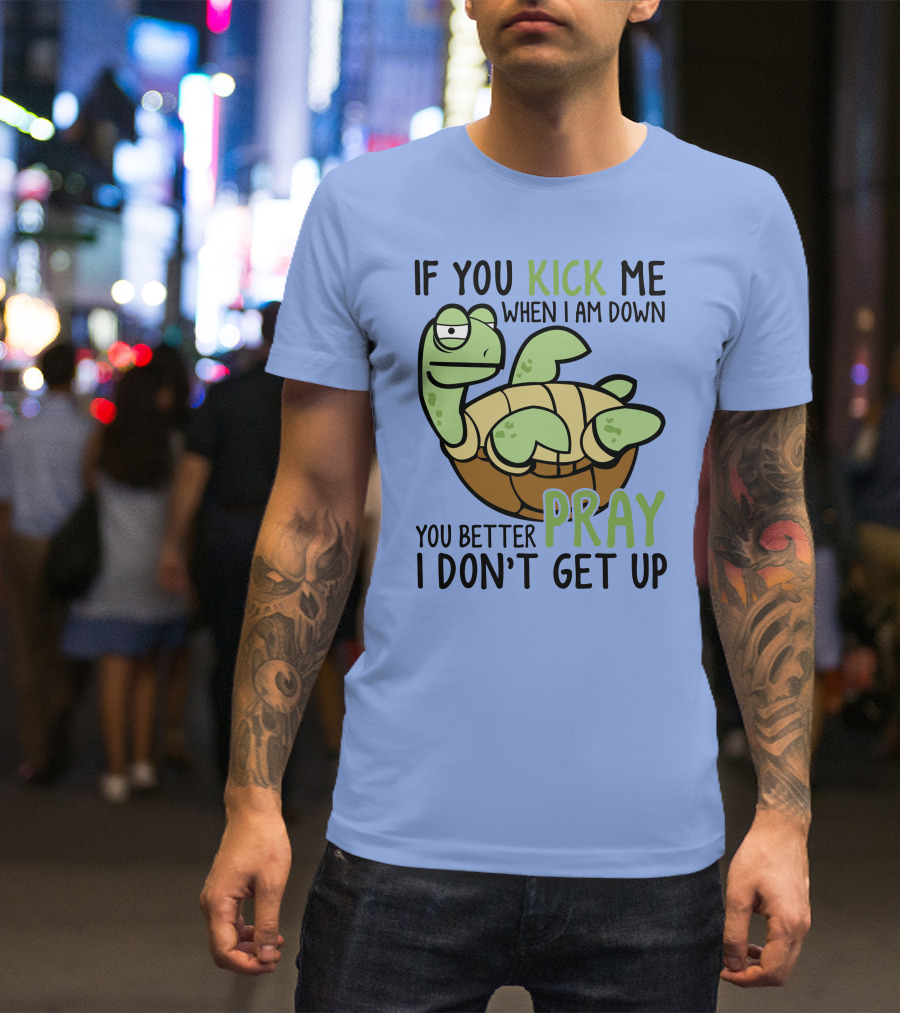 RD Turtle If You Kick Me When I Am Down You Better Pray I Don’t Get Up T-Shirt