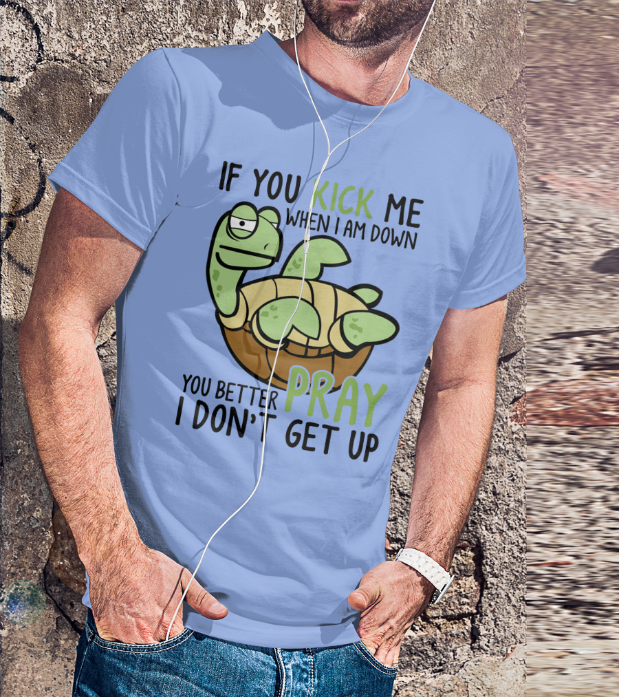 RD Turtle If You Kick Me When I Am Down You Better Pray I Don’t Get Up T-Shirt