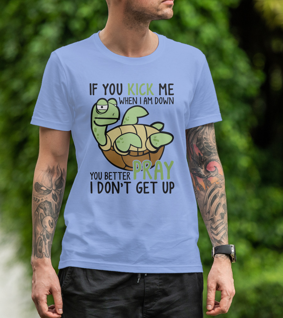 RD Turtle If You Kick Me When I Am Down You Better Pray I Don’t Get Up T-Shirt