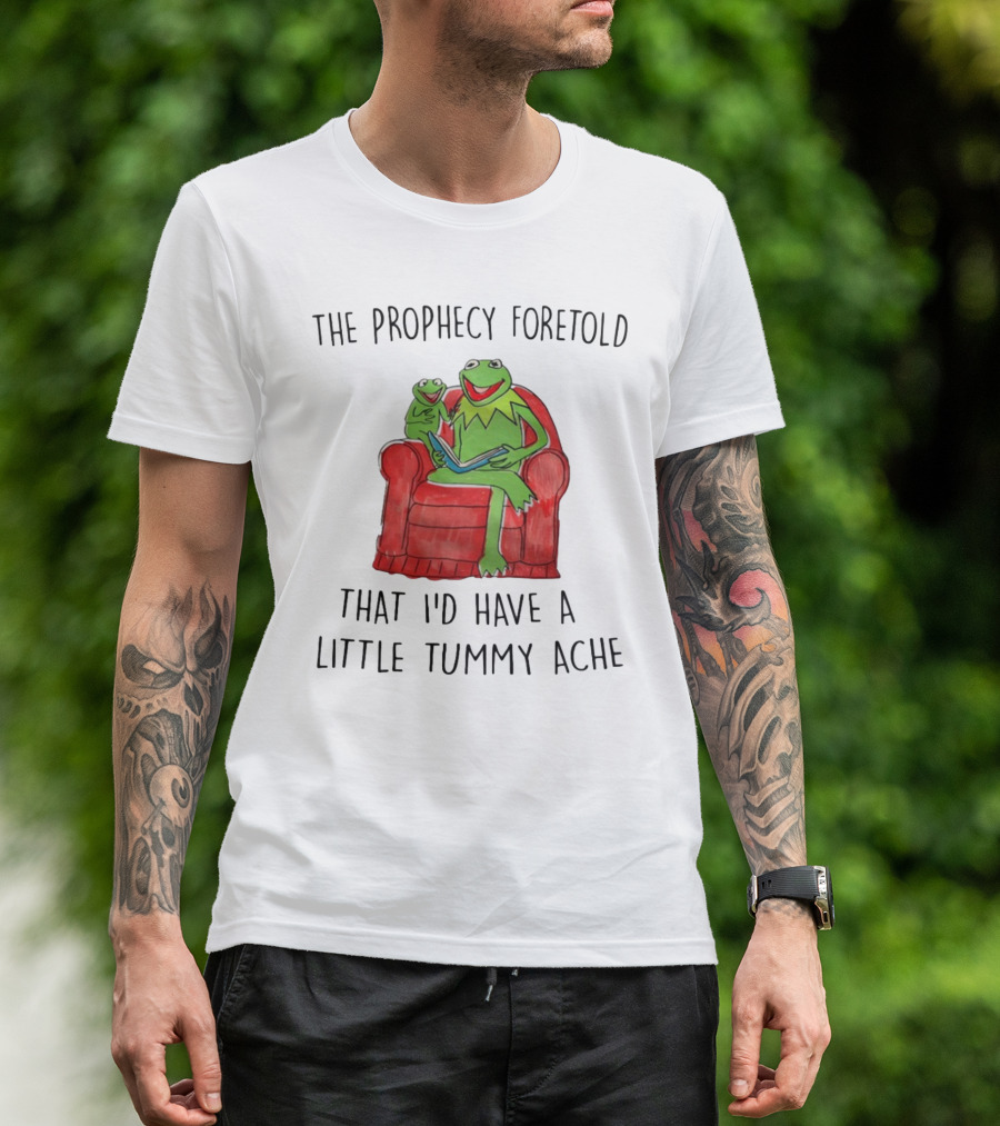 The Prophecy Foretold That I'd Have A Little Tummy Ache - Frog Reading On Red Armchair T-Shirt