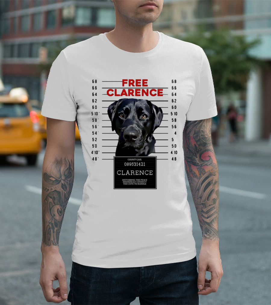 Free Clarence County Jail Disturbing The Peace Disorderly Conduct Too Cute To Handle T-Shirt