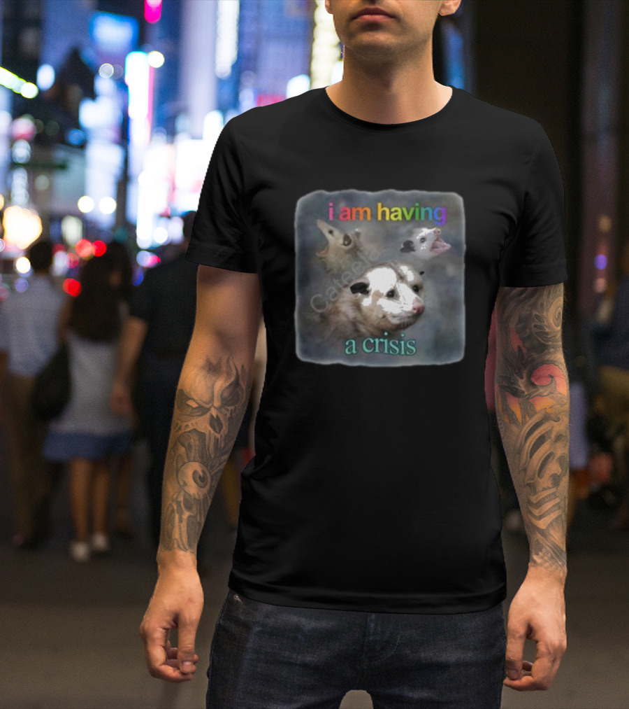Snazzyseagull I Am Having A Crisis Possum Multicolored Text Mood T-Shirt