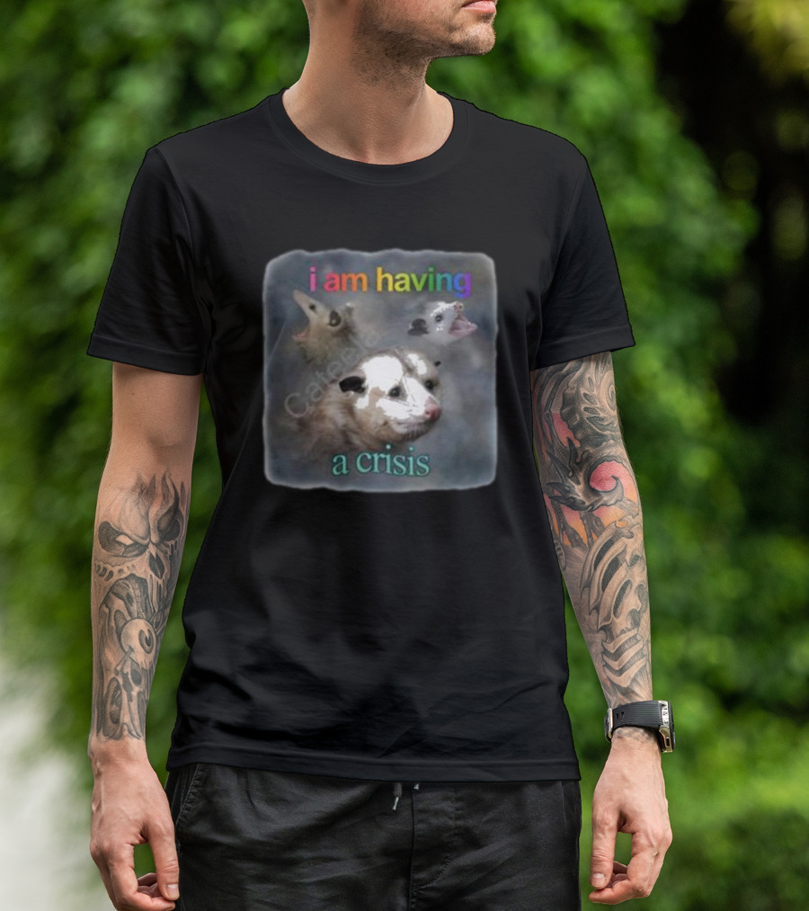 Snazzyseagull I Am Having A Crisis Possum Multicolored Text Mood T-Shirt
