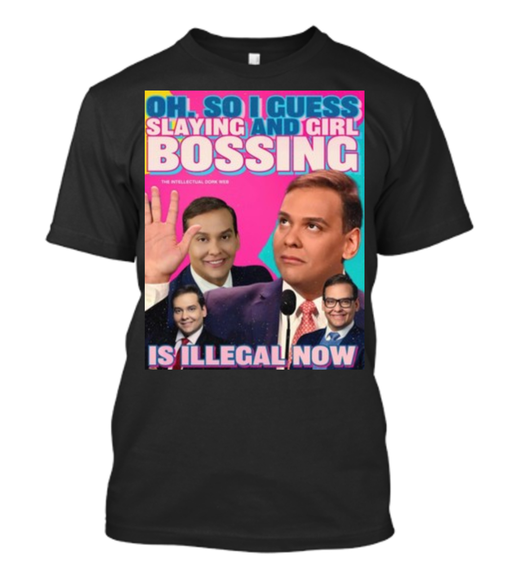 Oh So I Guess Slaying And Girl Bossing Is Illegal Now T-Shirt
