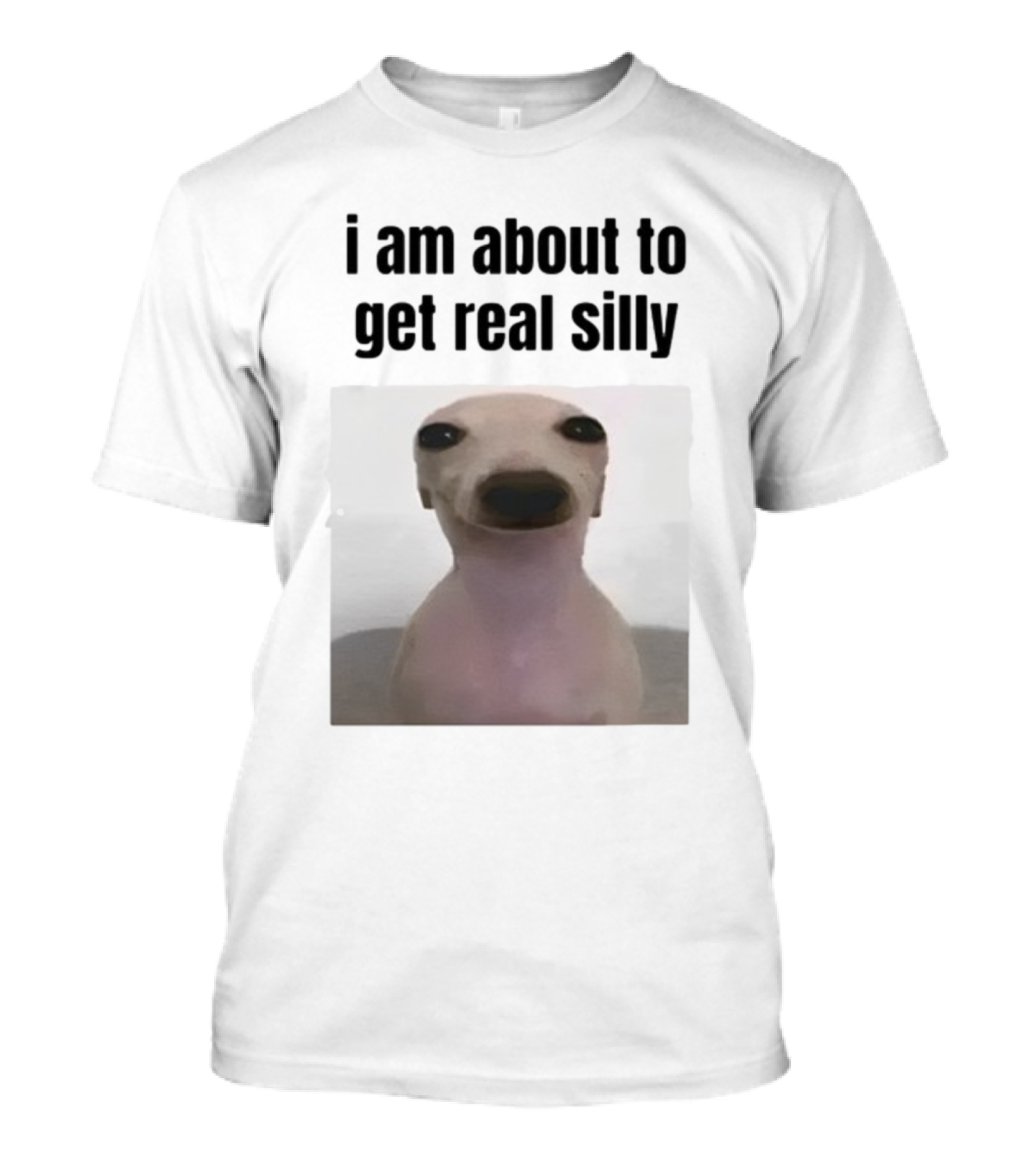 I Am About To Get Real Silly Whippet Dog Meme T-Shirt