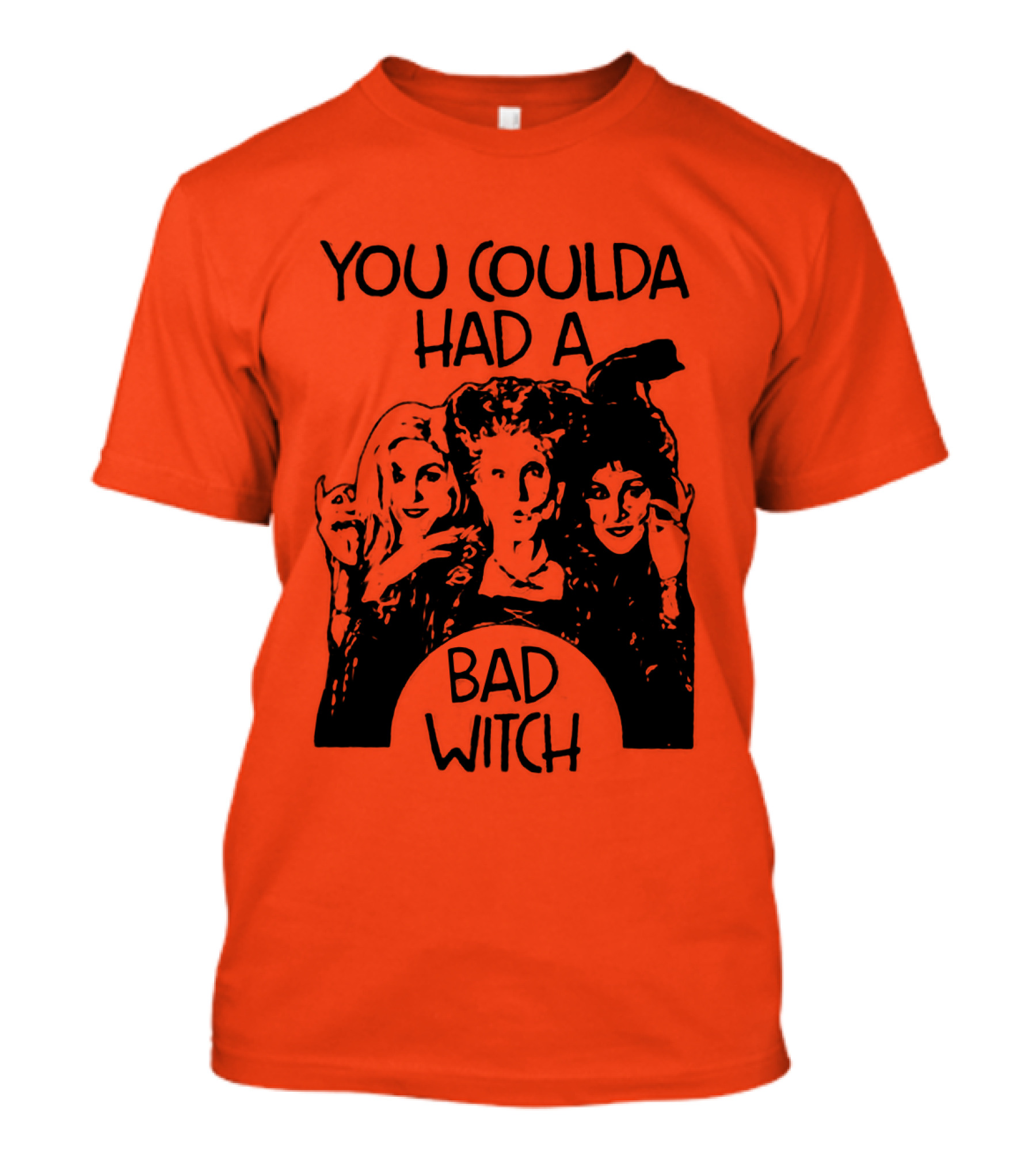 Hocus Pocus You Coulda Had A Bad Witch Sanderson Sisters Halloween Magic T-Shirt
