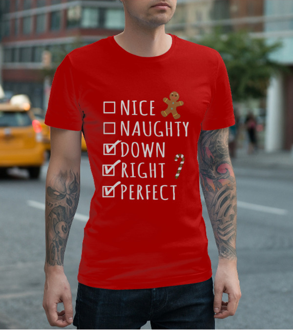 Nice Naughty Down Right Perfect Gingerbread Candy Cane Holiday Checklist T-Shirt