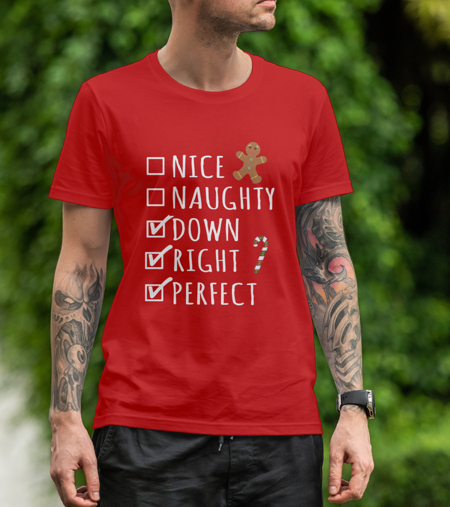 Nice Naughty Down Right Perfect Gingerbread Candy Cane Holiday Checklist T-Shirt