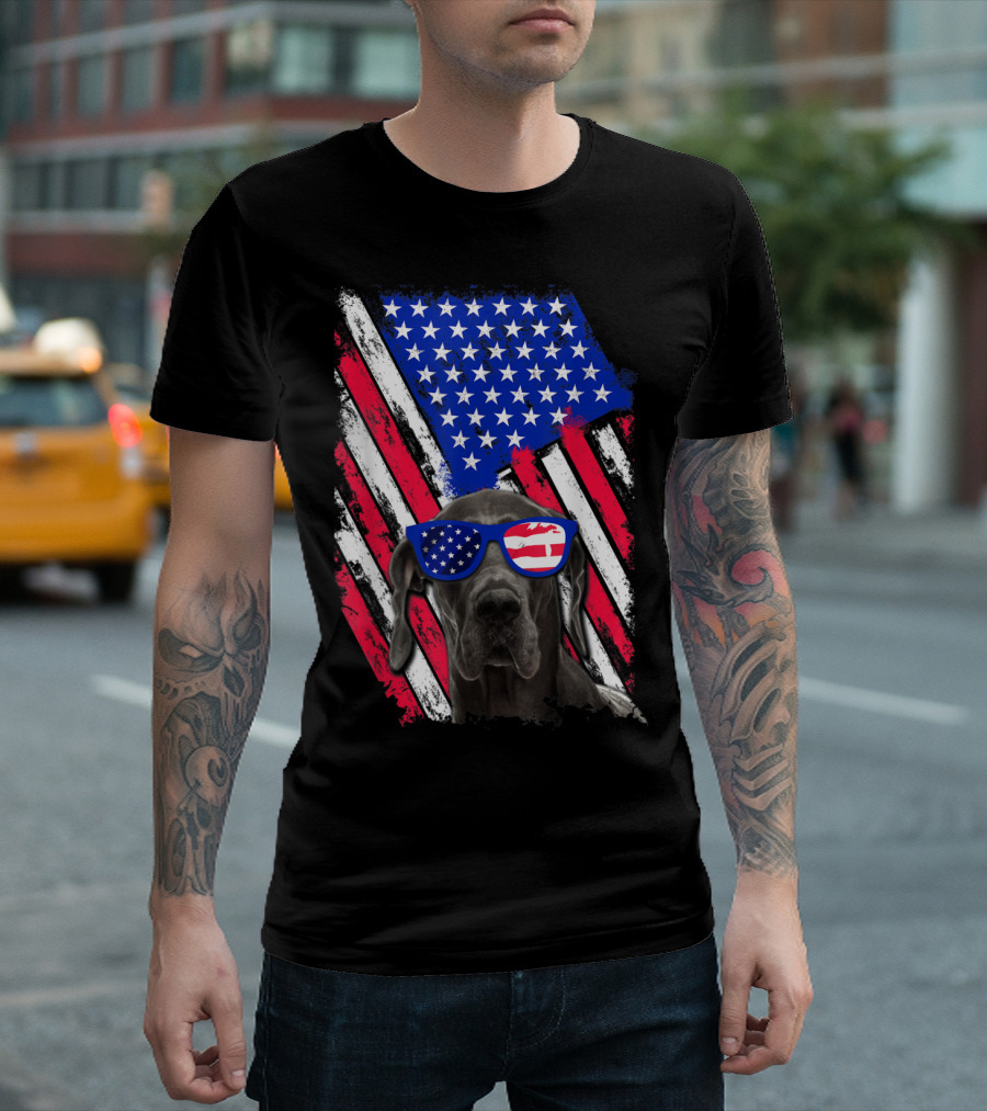 Vintage Distressed Great Dane with American USA Flag Sunglasses T-Shirt