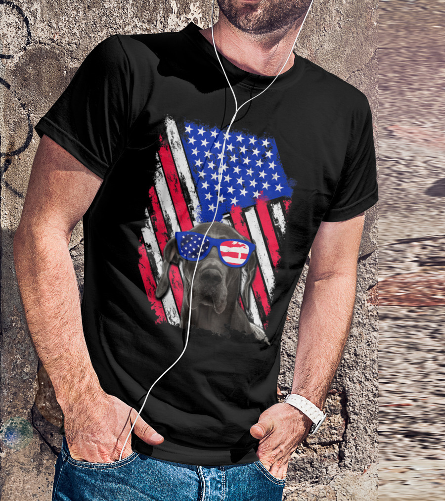 Vintage Distressed Great Dane With American USA Flag Sunglasses T-Shirt