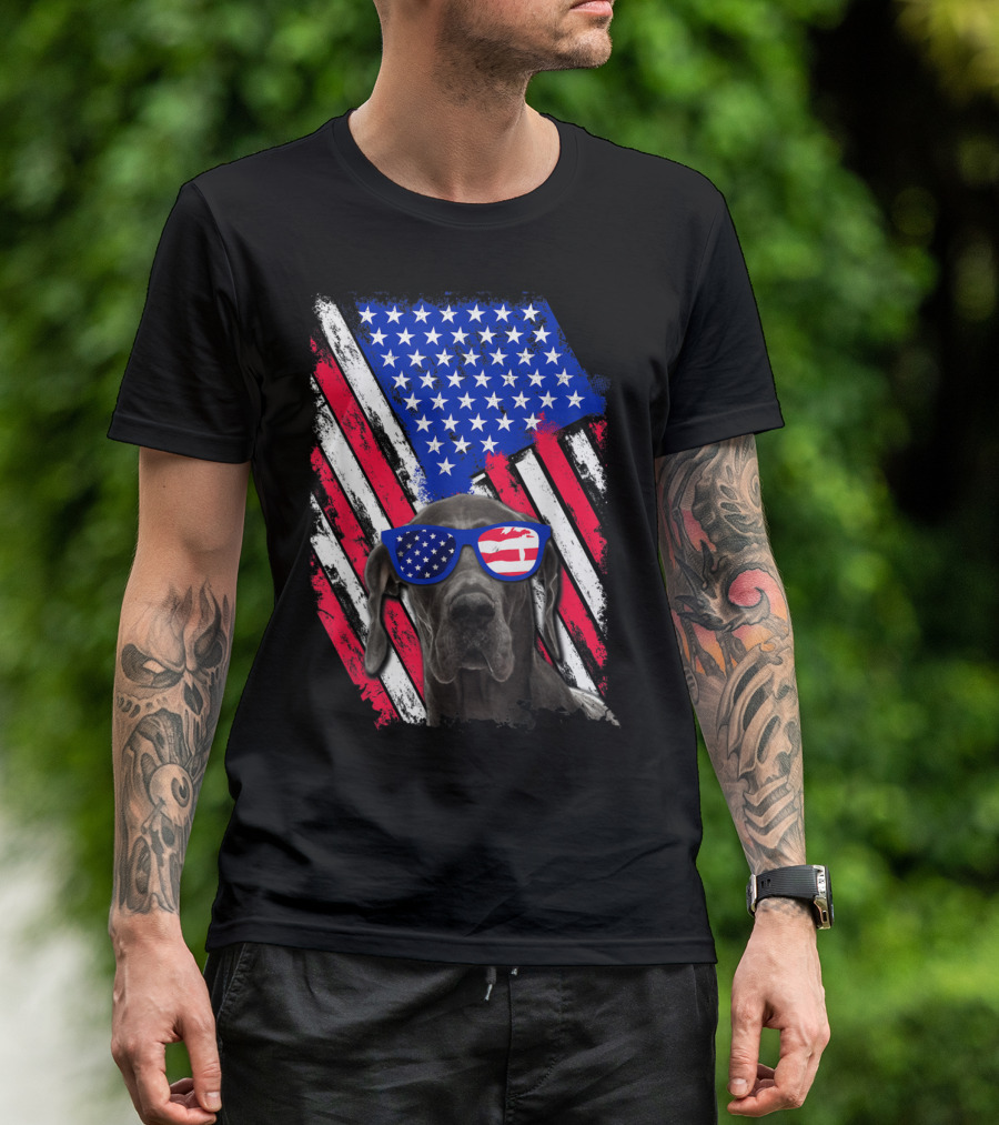Vintage Distressed Great Dane With American USA Flag Sunglasses T-Shirt