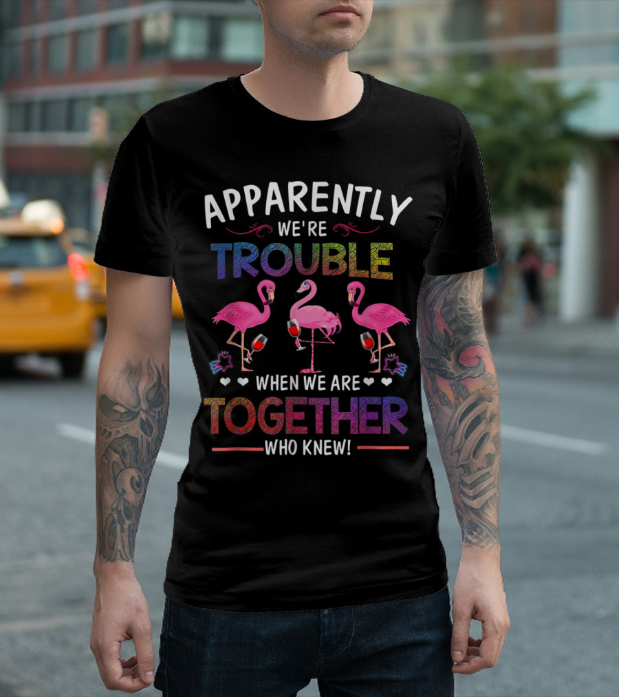 Apparently We're Trouble When We Are Together Who Knew Flamingo Wine Glass Party T-Shirt